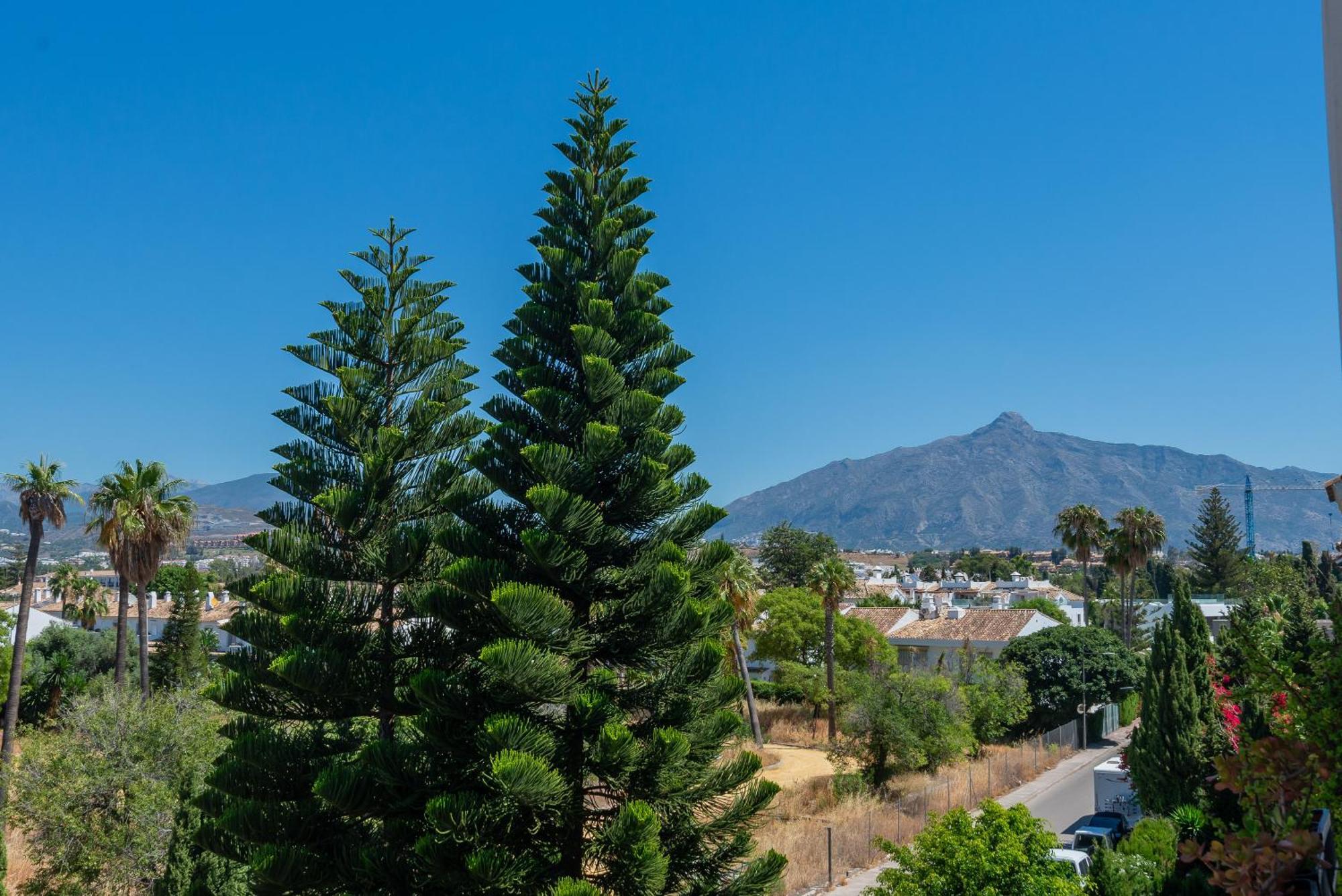 San Pedro *